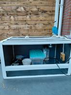 Terrarium, Ophalen of Verzenden, Kooi, Minder dan 60 cm