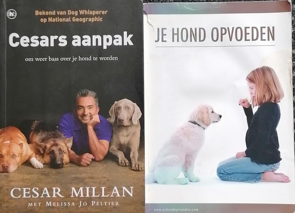 Hondenboeken: Cesars aanpak & Je hond opvoeden, Boeken, Ophalen of Verzenden, Gelezen, Honden, Cesar Millan, Melissa Jo Peltier