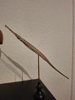 Opgezette grote zeenaald taxidermie vis maritiem, Ophalen of Verzenden, Gebruikt, Overige soorten, Opgezet dier