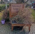 Ze zijn er weer, kronkelwilg paastakken 1 euro, Ophalen, Nieuw