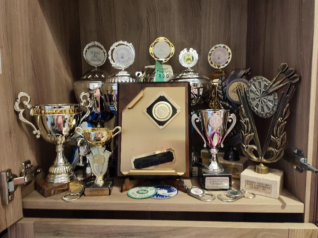 31 dart trofeeën, Ophalen, Gebruikt, Overige sporten, Overige typen