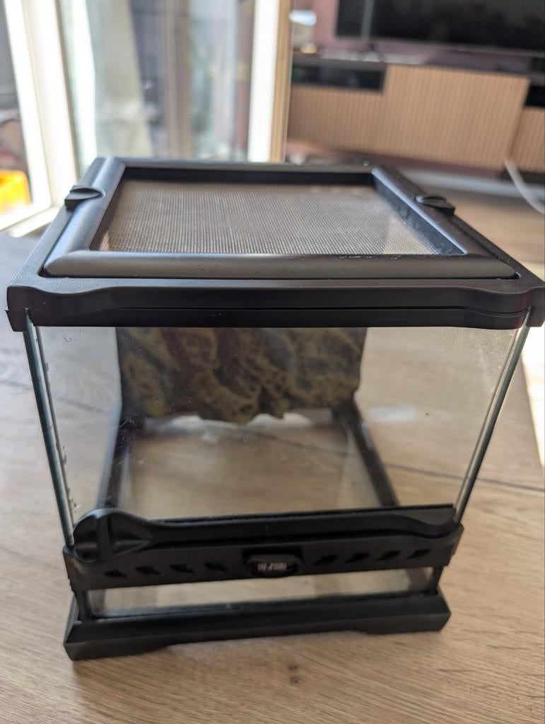 Exo Terra nano terrarium, Dieren en Toebehoren, Reptielen en Amfibieën | Toebehoren, Ophalen, Zo goed als nieuw