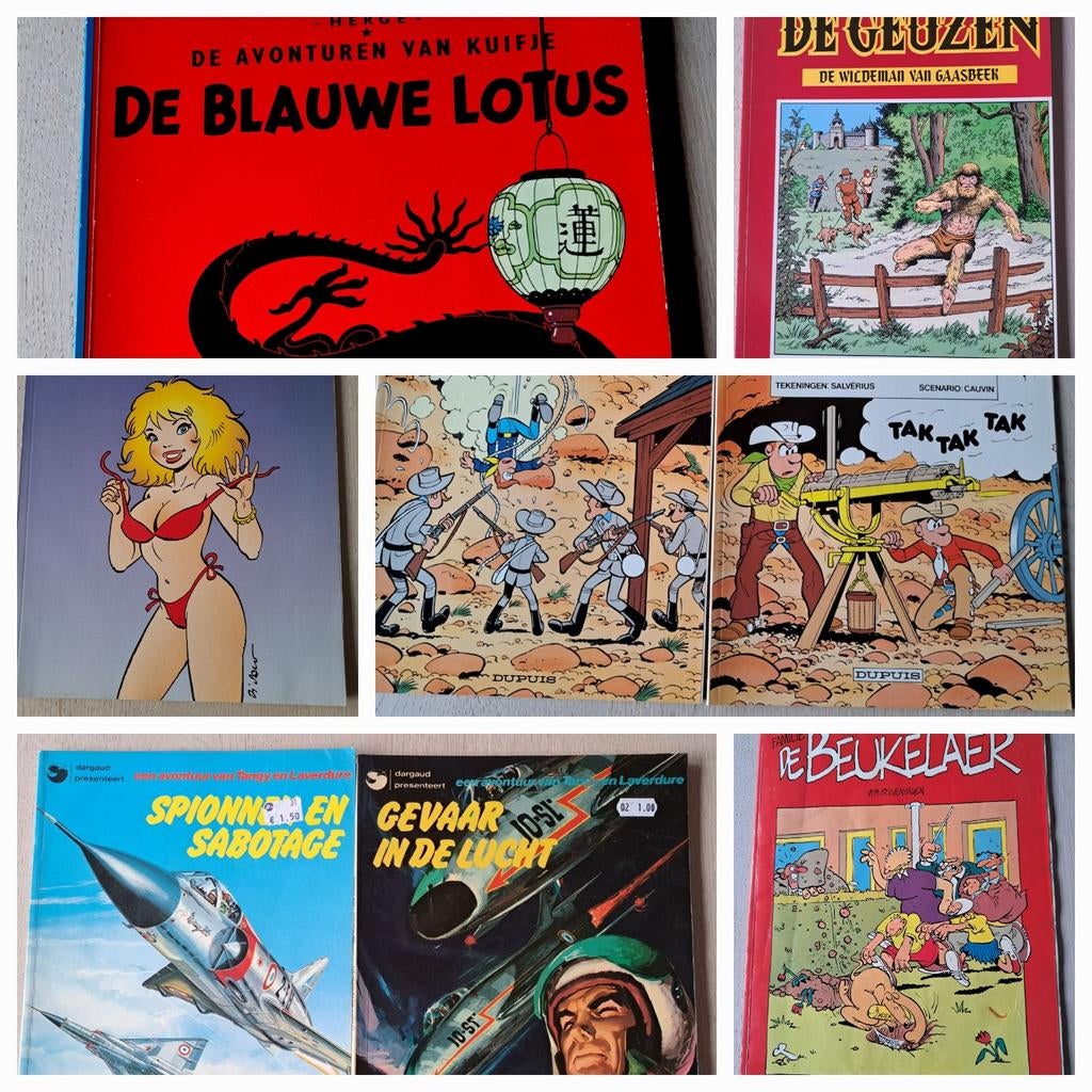 Assortie strips - Suske en Wiske - Kuifje - Geuzen - etc, Meerdere stripboeken, Ophalen of Verzenden