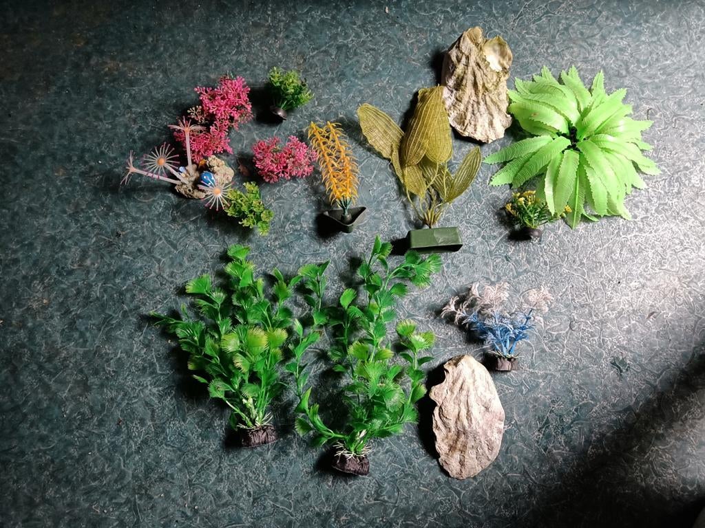 Aquarium sier planten, Ophalen of Verzenden, Gebruikt, Plant(en), Steen of Hout