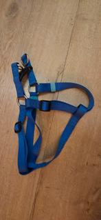 NIEUW Beeztees hondentuig, Ophalen of Verzenden, Nieuw