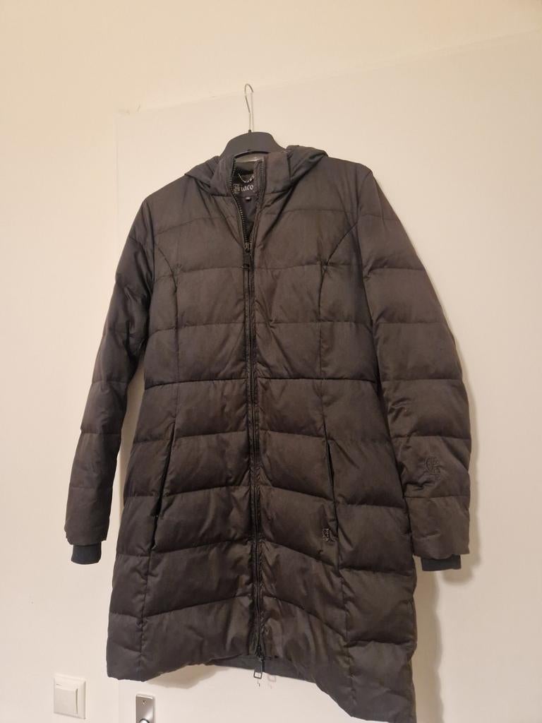 Maat xl, Kleding | Dames, Jassen | Winter, Maat 46/48 (XL) of groter, Ophalen of Verzenden, Zo goed als nieuw, Giacomo