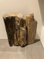 Versteend hout, Ophalen