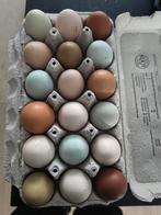 Biologische eieren, Diversen, Levensmiddelen, Ophalen