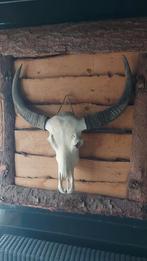 Skull, Huis en Inrichting, Woonaccessoires | Overige, Ophalen, Zo goed als nieuw