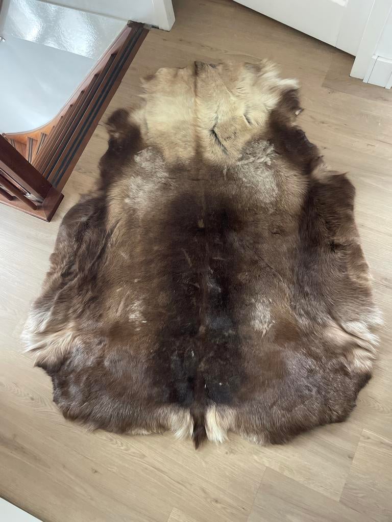 Prachtige Rendier Vacht - Natuurlijke Decoratie, Gebruikt, 100 tot 150 cm, Bruin, Overige vormen