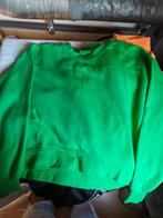 Swaeter trui groen maat S Zara, Ophalen of Verzenden, Zo goed als nieuw, Maat 38/40 (M), Groen