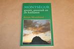 Montségur — Gnosis, Gnostiek & Katharen, Boeken, Ophalen of Verzenden, Gelezen, Overige onderwerpen, Achtergrond en Informatie