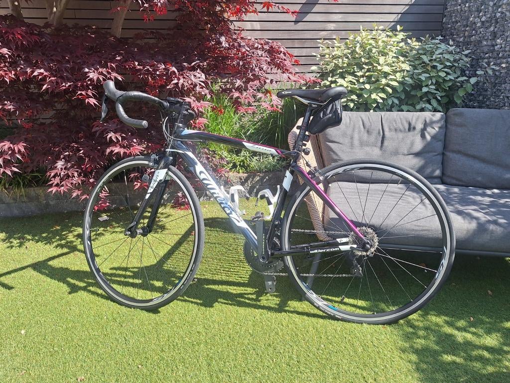 Wilier Luna triestina racefiets Ultegra - Zo goed als nieuw, Gebruikt, Aluminium, Meer dan 20 versnellingen, Ophalen