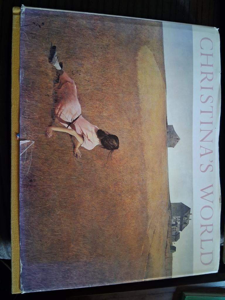 Christina's World - B.J. Wyeth, Ophalen of Verzenden, Zo goed als nieuw