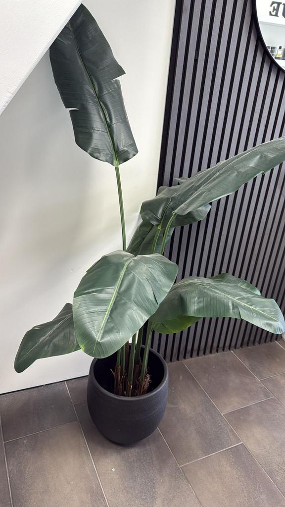 Grote kunstplant Strelitzia met pot, Ophalen, Binnen, Groen, Kunstplant