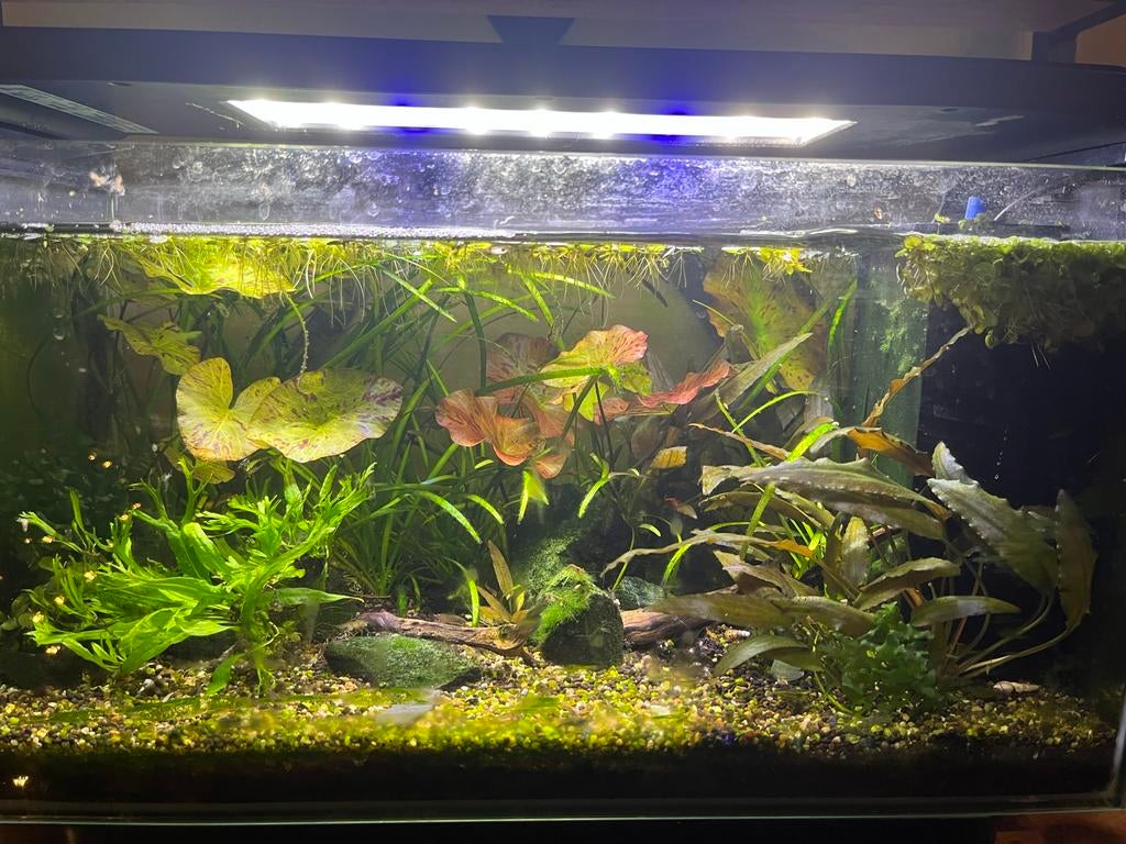 Superfish 30L aquarium, Ophalen, Gebruikt, Leeg aquarium