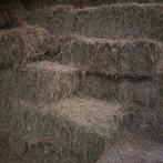 Baaltjes hooi, Ophalen of Verzenden, Vee