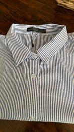 Nieuwe overhemdjurk merk Zanzea xxxxxl, Kleding | Dames, Ophalen of Verzenden, Nieuw, Maat 46/48 (XL) of groter, Blauw