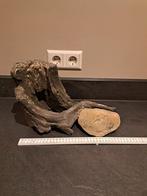 Ornament aquarium, Ophalen of Verzenden, Overige typen