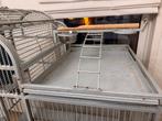 Papegaaien kooi Villa - Strong, Dieren en Toebehoren, Vogels | Hokken en Kooien, Ophalen, Metaal, Vogelkooi