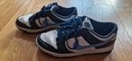 Nike schoenen maat 43, Schoenen, Ophalen of Verzenden, Zo goed als nieuw, Nike