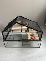 Mooie hamsterkooi met glas, Dieren en Toebehoren, Knaagdieren en Konijnen | Hokken en Kooien, Minder dan 60 cm, Kooi, Gebruikt