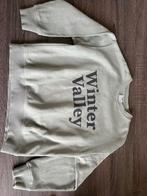 Zara Trui Maat 130 (8/9) Groen, Kinderen en Baby's, Kinderkleding | Maat 134, Ophalen of Verzenden, Zo goed als nieuw, Jongen