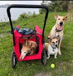 Hondenkar, Dieren en Toebehoren, Honden-accessoires, Ophalen, Gebruikt