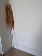 Pluim, kunstplant goud/ bruin kleurig, Ophalen of Verzenden, Zo goed als nieuw