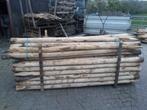 Kastanje palen,Onbehandeld,Natuurlijk,Robuust,6/8 tot 16/22, Palen, Nieuw, Ophalen of Verzenden, Hardhout