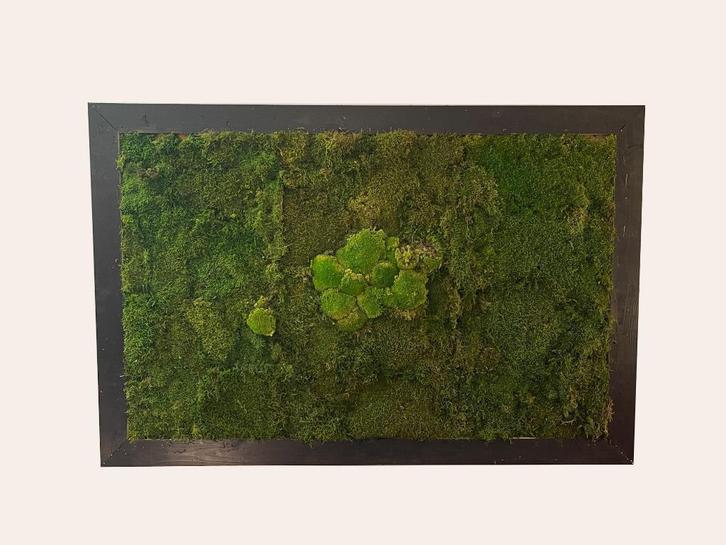 Bij TheReSales: Mosschilderij, Huis en Inrichting, Woonaccessoires | Wanddecoraties, Zo goed als nieuw, Ophalen of Verzenden