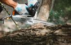 Stihl kettingzaag snoeizaag, Eén persoon, Cadeaubon, Overige typen