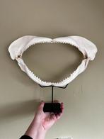 Taxidermy Haaienkaak op standaard, Ophalen of Verzenden, Zo goed als nieuw, Overige soorten, Opgezet dier