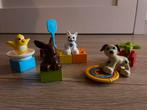 Duplo 10838 Huisdieren - Compleet, Ophalen of Verzenden, Zo goed als nieuw, Complete set, Duplo