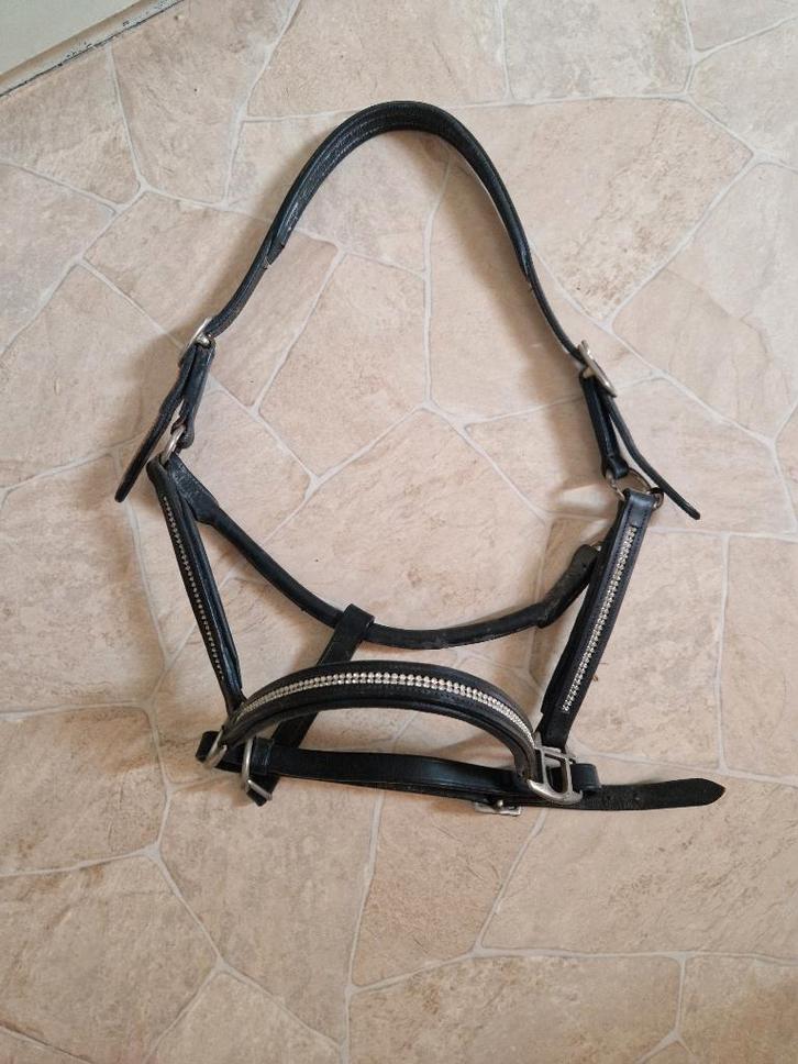 Xl Halster Aangeboden!, Dieren en Toebehoren, Paarden en Pony's | Hoofdstellen en Tuigage, Nieuw, Dressuur, Ophalen