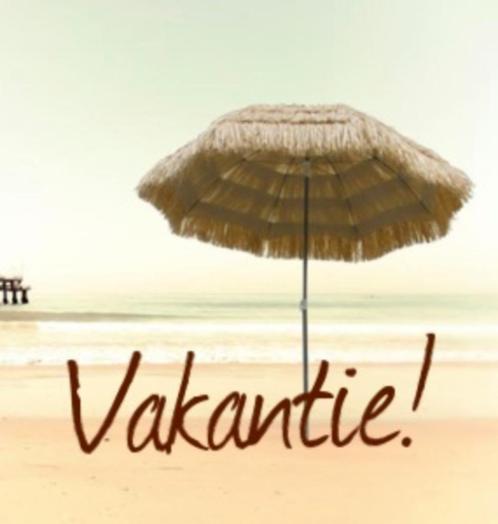 Bedrijfsvakantie gesloten van 18-07 tot en met 01-08-2025, Verzamelen, Ansichtkaarten | Nederland, 1980 tot heden, Ophalen of Verzenden