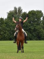 Gave D pony ruin, Dieren en Toebehoren, Pony's, Ruin, Recreatiepony