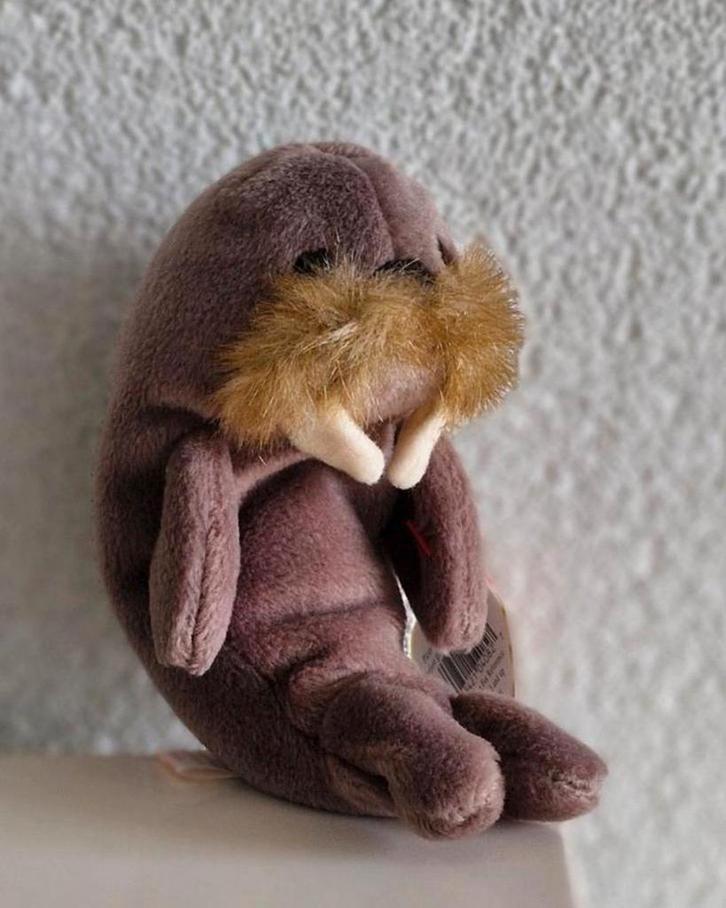 Ty Beanie Baby Walrus Jolly, Kinderen en Baby's, Speelgoed | Knuffels en Pluche, Zo goed als nieuw, Overige typen, Ophalen of Verzenden