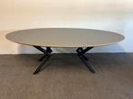 Ovale eettafel HPL grijs 240x120 / 240x130, 100 tot 150 cm, 200 cm of meer, Ophalen of Verzenden, Zo goed als nieuw