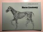 Horse Anatomy - A Pictorial Approach to Equine Structure, Ophalen of Verzenden, Beta, Zo goed als nieuw, HBO