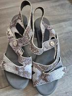 Think! Sandalen Maat 37 Slangenprint Grijs, Think!, Ophalen, Grijs, Sandalen of Muiltjes
