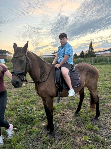 Ter lease aangeboden !!! beschikbaar voor biedingen