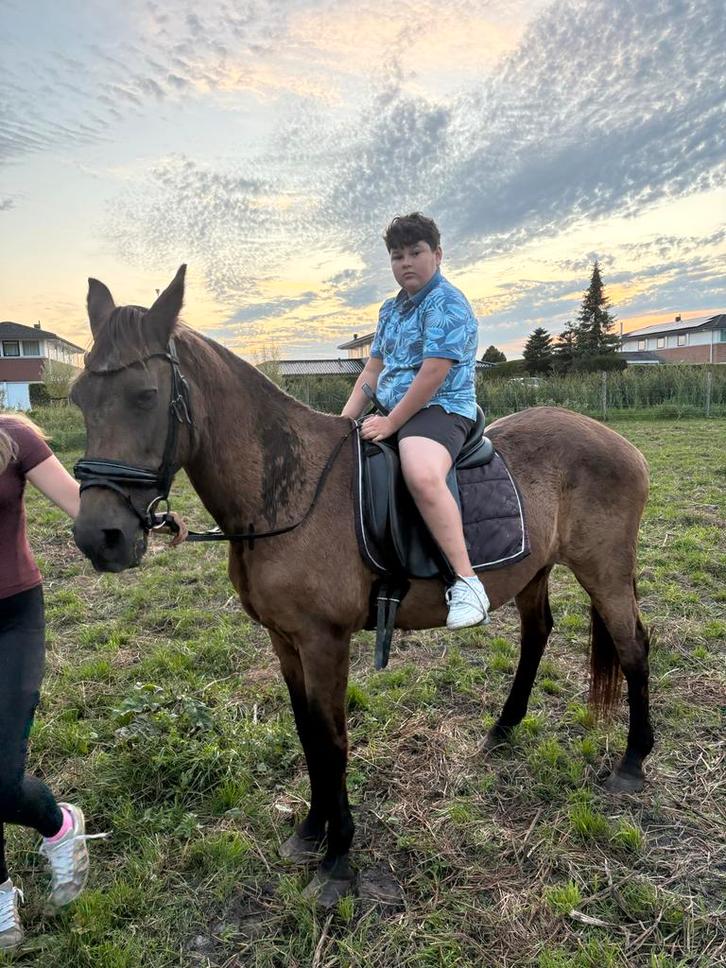Ter lease aangeboden !!!, Dieren en Toebehoren, Paarden en Pony's | Verzorgingsproducten, Nieuw, Ophalen of Verzenden