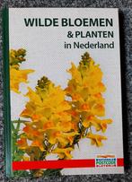 Wilde Bloemen en Planten in Nederland (+ veldgids + kaarten), Boeken, Natuur, Ophalen of Verzenden, Nieuw, Bloemen, Planten en Bomen