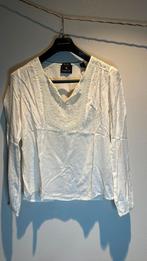 Maison Scotch topje maat 1, Kleding | Dames, Tops, Beige, Ophalen of Verzenden, Lange mouw, Zo goed als nieuw