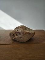 Voetbot mammoet (astragalus) 1960 gevonden in IJmuiden, Huis en Inrichting, Ophalen of Verzenden, Zo goed als nieuw