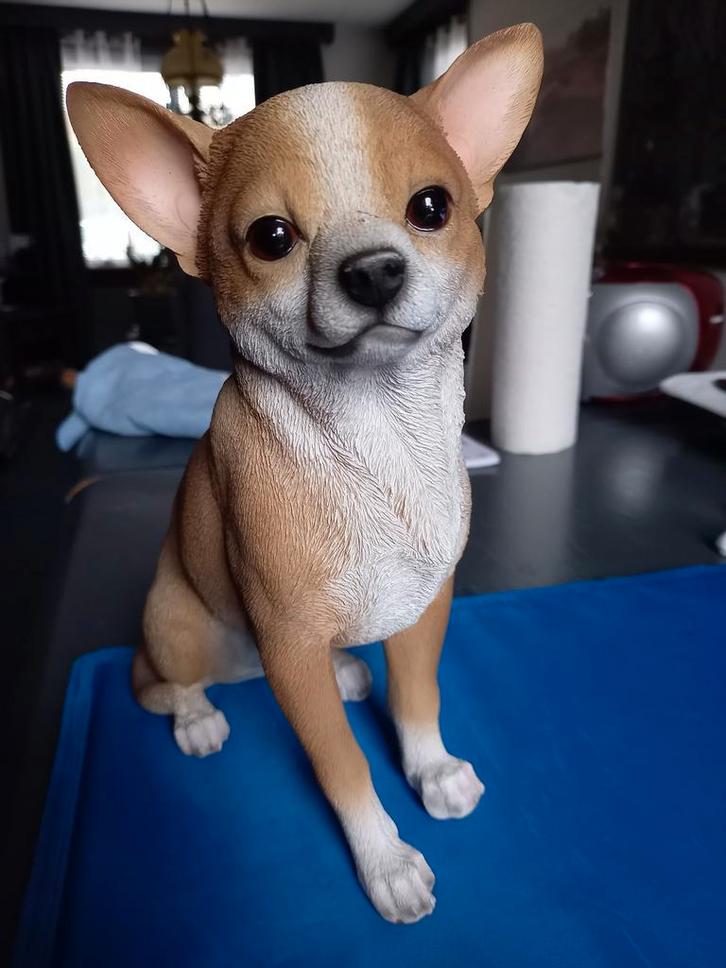 Chihuahua Beeldje - 21x7 cm - Wit/Karamel, Sport en Fitness, Skeelers, Ophalen of Verzenden