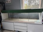 Ikea detolf vitrine kast hamster kooi met verhoogde deksel, Dieren en Toebehoren, Ophalen, Zo goed als nieuw, Terrarium of Paludarium
