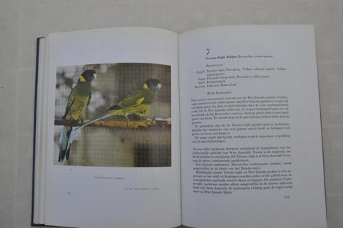 Australische parkieten Dr. H.D. Groen, Boeken, Dieren en Huisdieren, Gelezen, Vogels, Ophalen of Verzenden