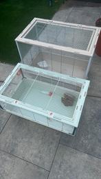 Knaagdierenkooien, Dieren en Toebehoren, Ophalen of Verzenden, Minder dan 75 cm, Kooi, Minder dan 60 cm